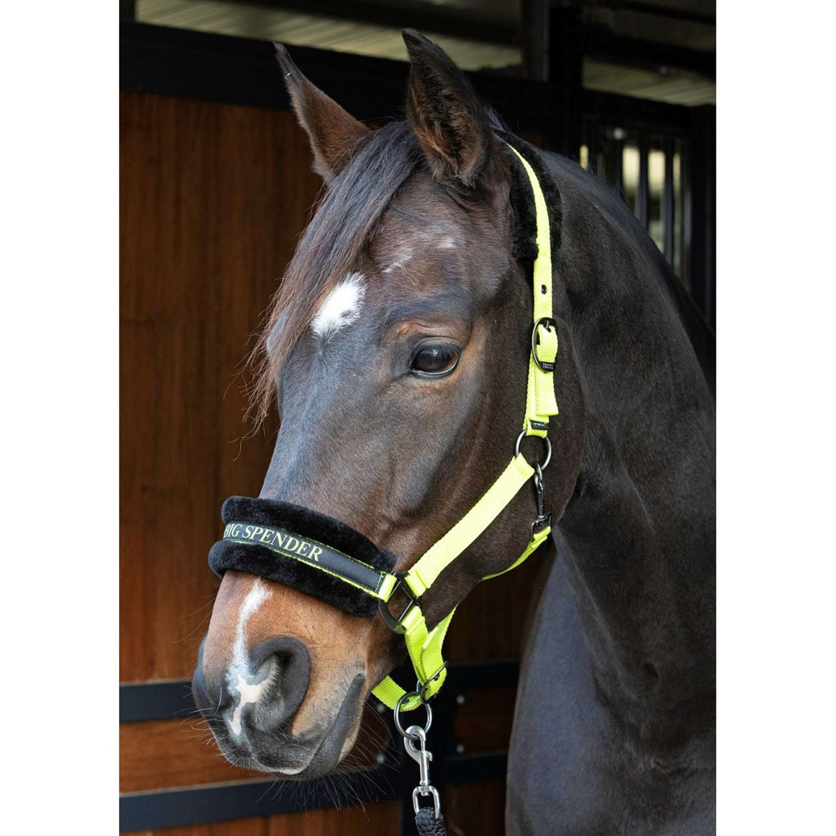Harry's Horse Halter Letras Citas Lima