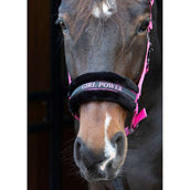 Harry's Horse Cabestro Lyrics Quotes Rosa