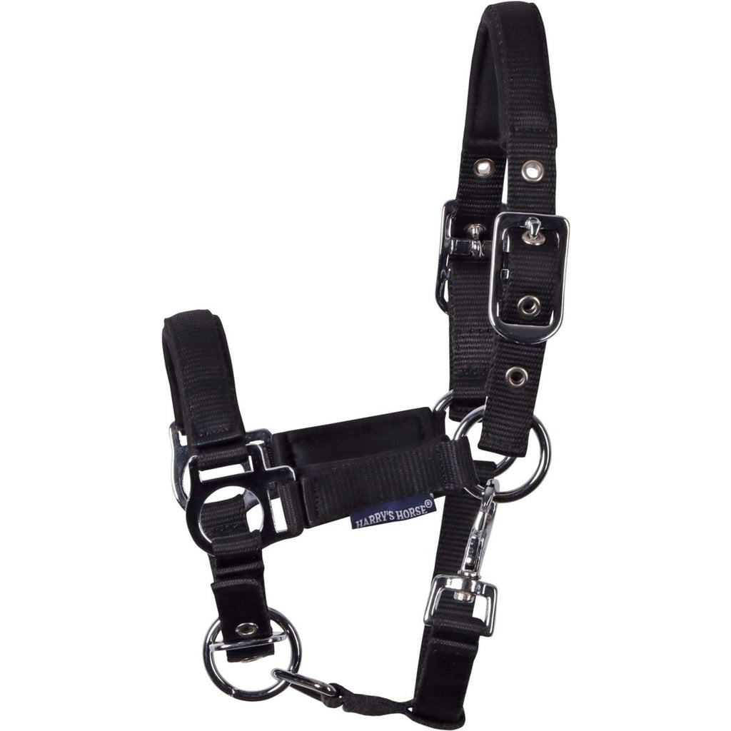 Harry's Horse Cabestro para Potro Padded Negro
