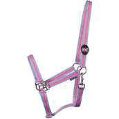 Harry's Horse Cabezada Economy Azul Claro/Rosa/Azul Claro