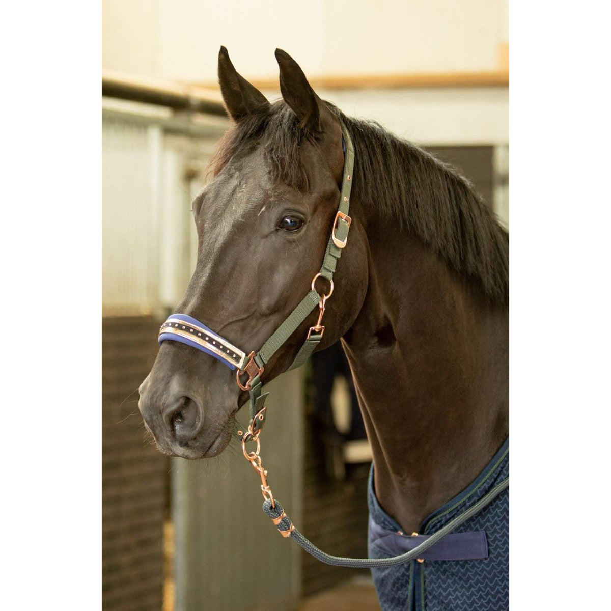 Harry's Horse Juego de Cabestro Denici Cavalli Bosque Verde Militar