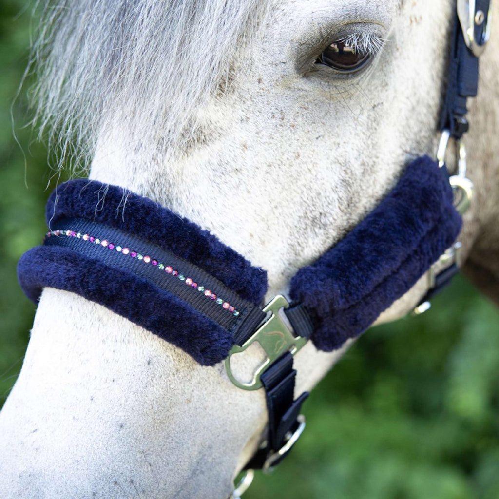 Harry's Horse Juego de Cabestro Denici Cavalli Purple Passion Crystal Peacoat