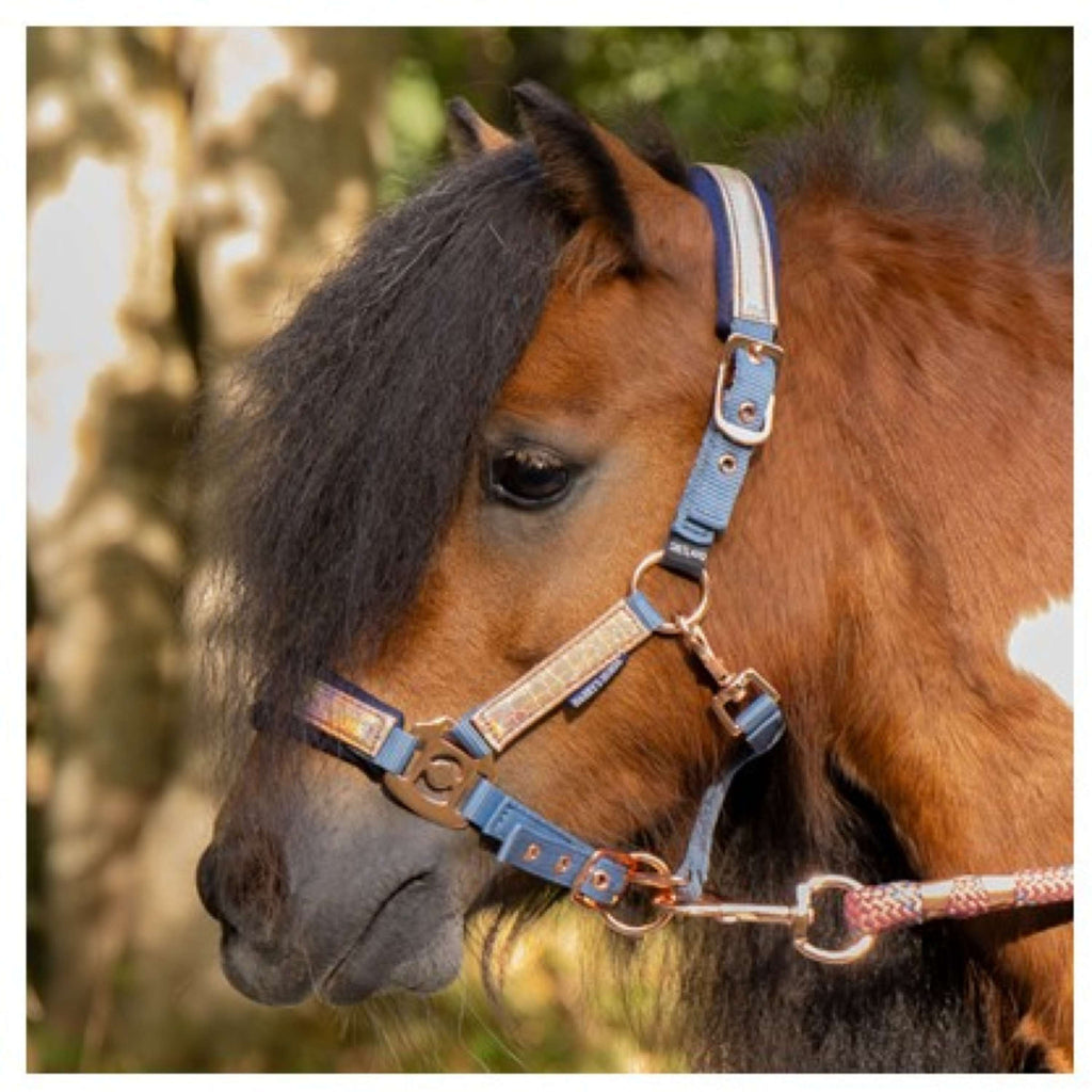 Harry's Horse Juego de Cabestro Diva Mauvewood Faded-Denim