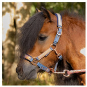 Harry's Horse Juego de Cabestro Diva Mauvewood Faded-Denim