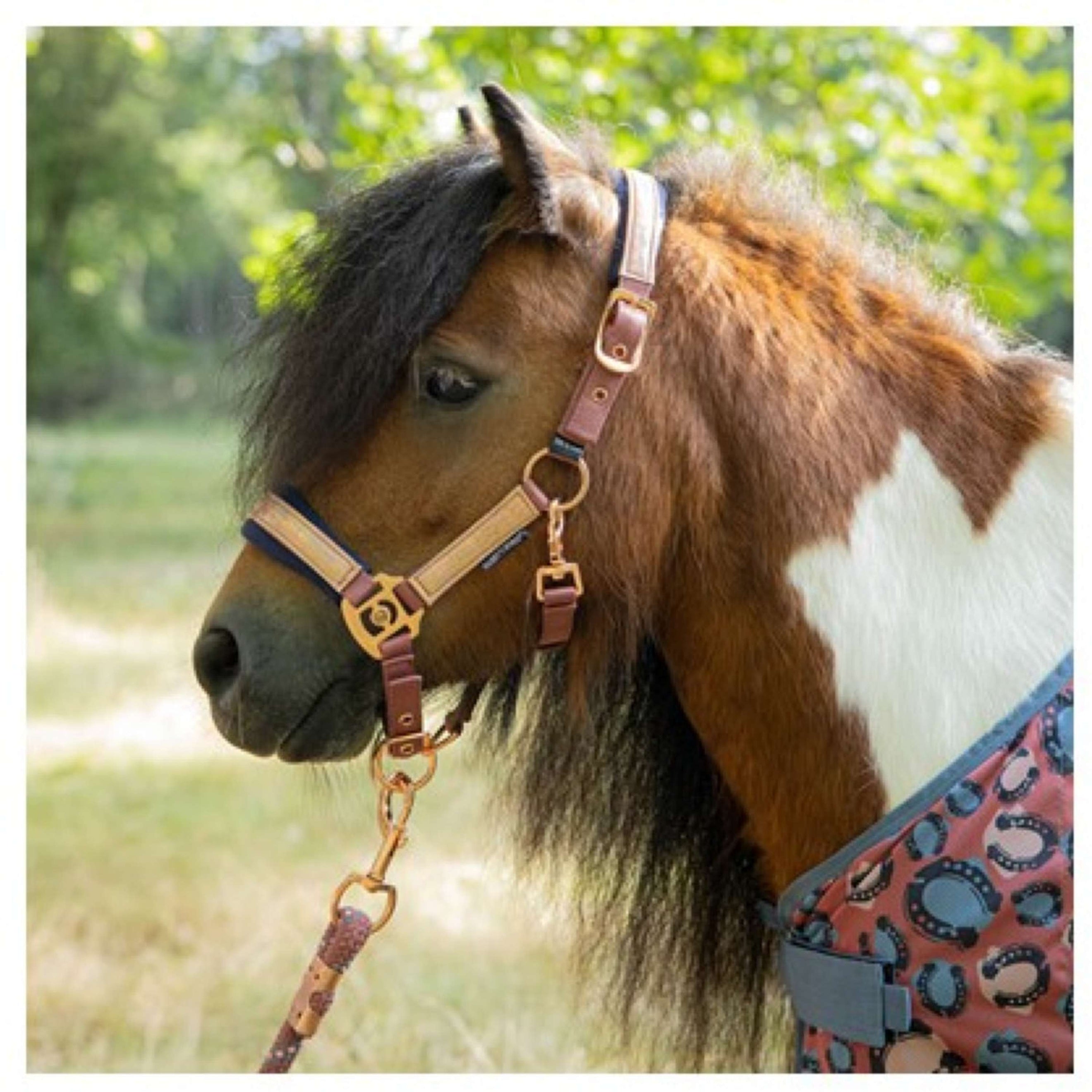 Harry's Horse Juego de Cabestro Diva Mauvewood Mauvewood