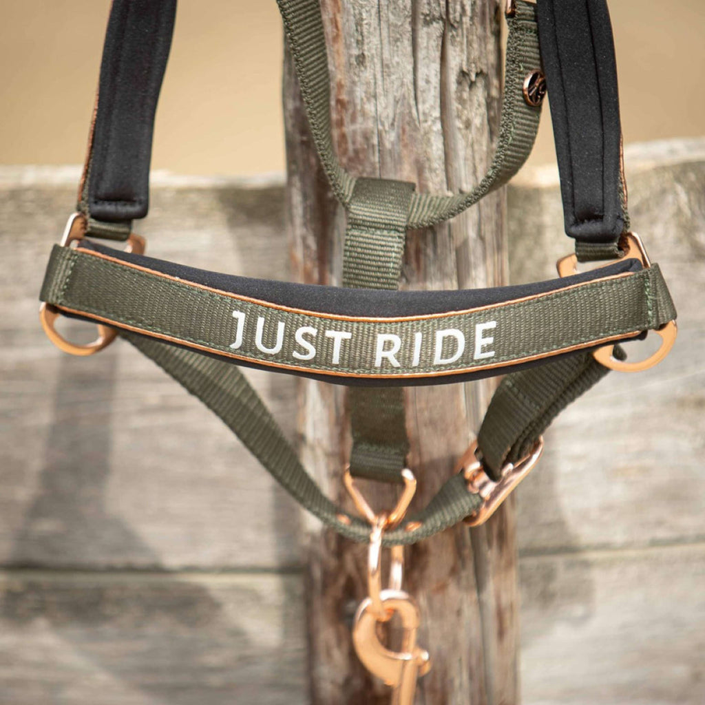 Harry's Horse Juego de Cabestro Just Ride Summer Chique Kambaba