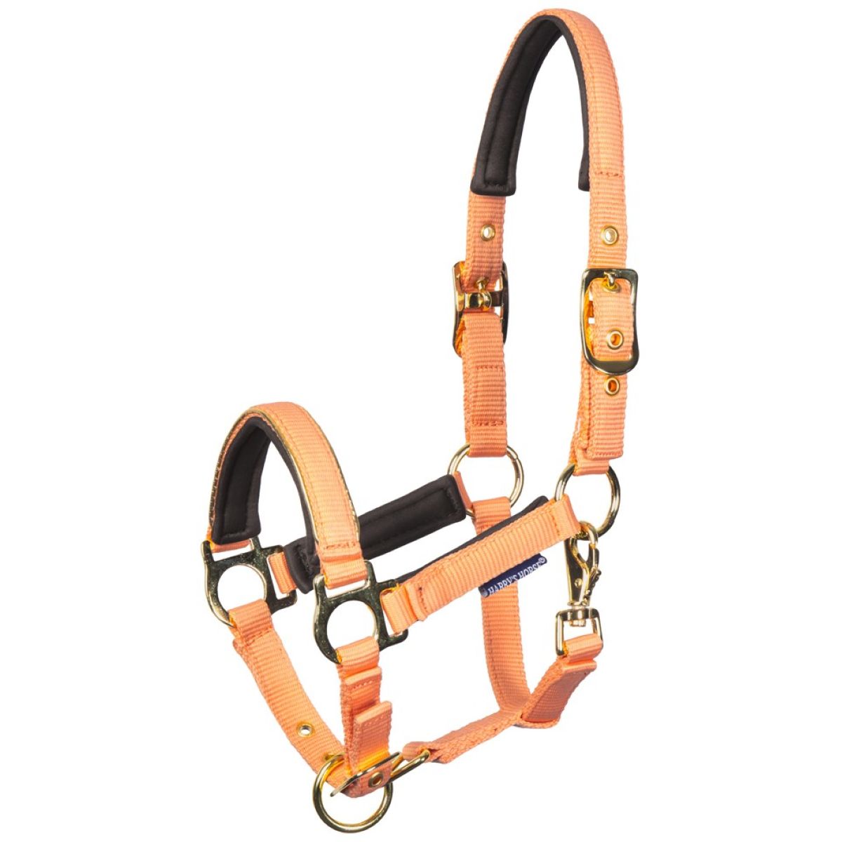 Harry's Horse Cabestro para Potro Metal Cadmium Orange