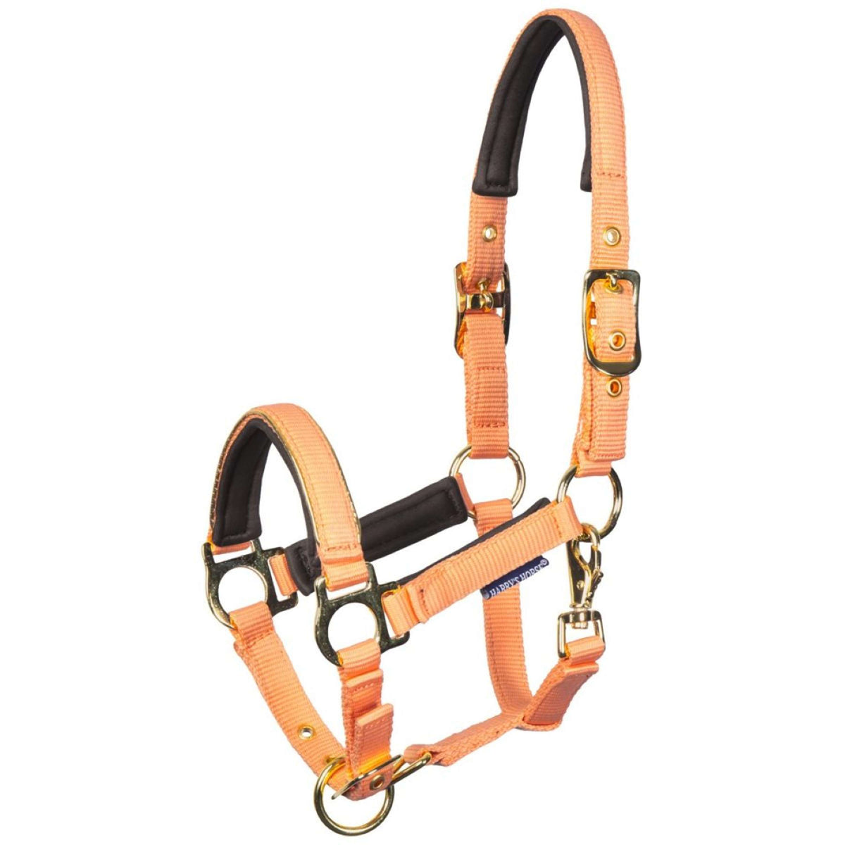 Harry's Horse Cabestro para Potro Metal Cadmium Orange