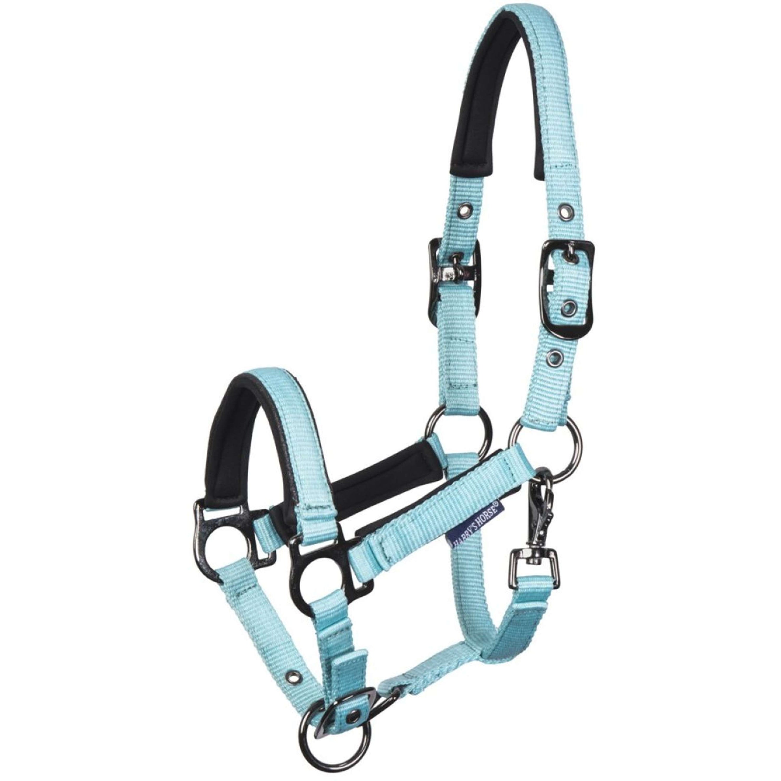Harry's Horse Cabestro para Potro Metal Pastel Turquoise