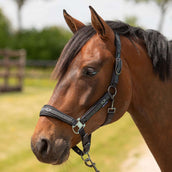 Harry's Horse Juego de Cabestro Equestrian Society Black Sand