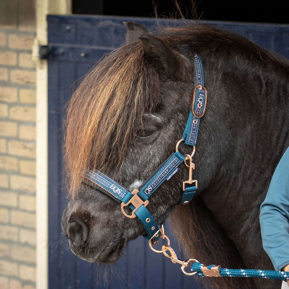 Harry's Horse Juego de Cabestro Equestrian Society Moonlit Ocean