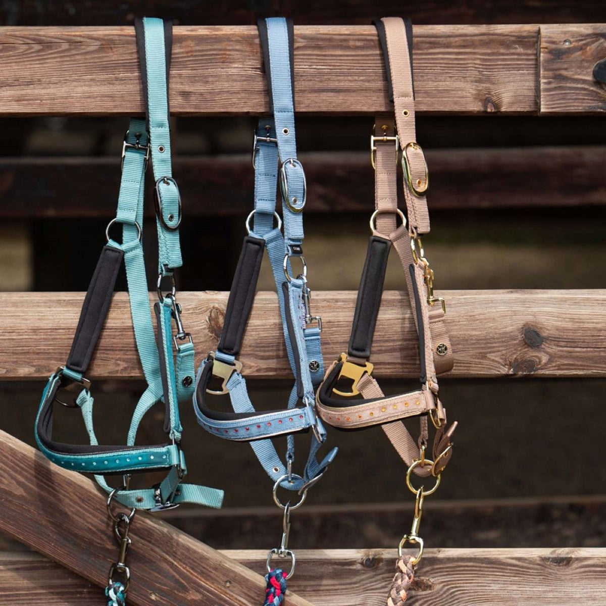 Harry's Horse Juego de Cabestro Crystal Taupe Grey