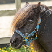 Harry's Horse Juego de Cabestro Crystal Tapestry