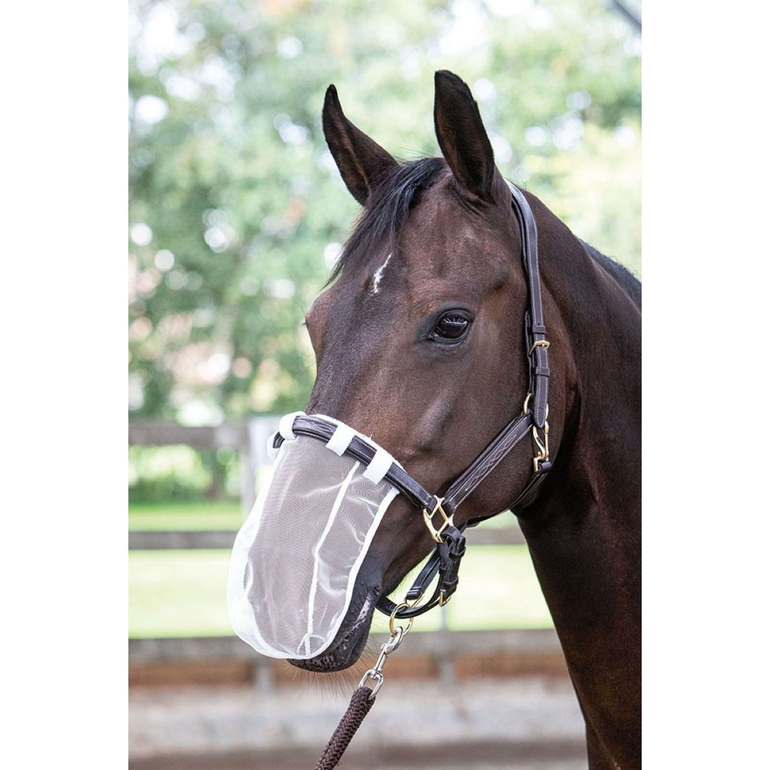 Harry's Horse Red nasal Blanco