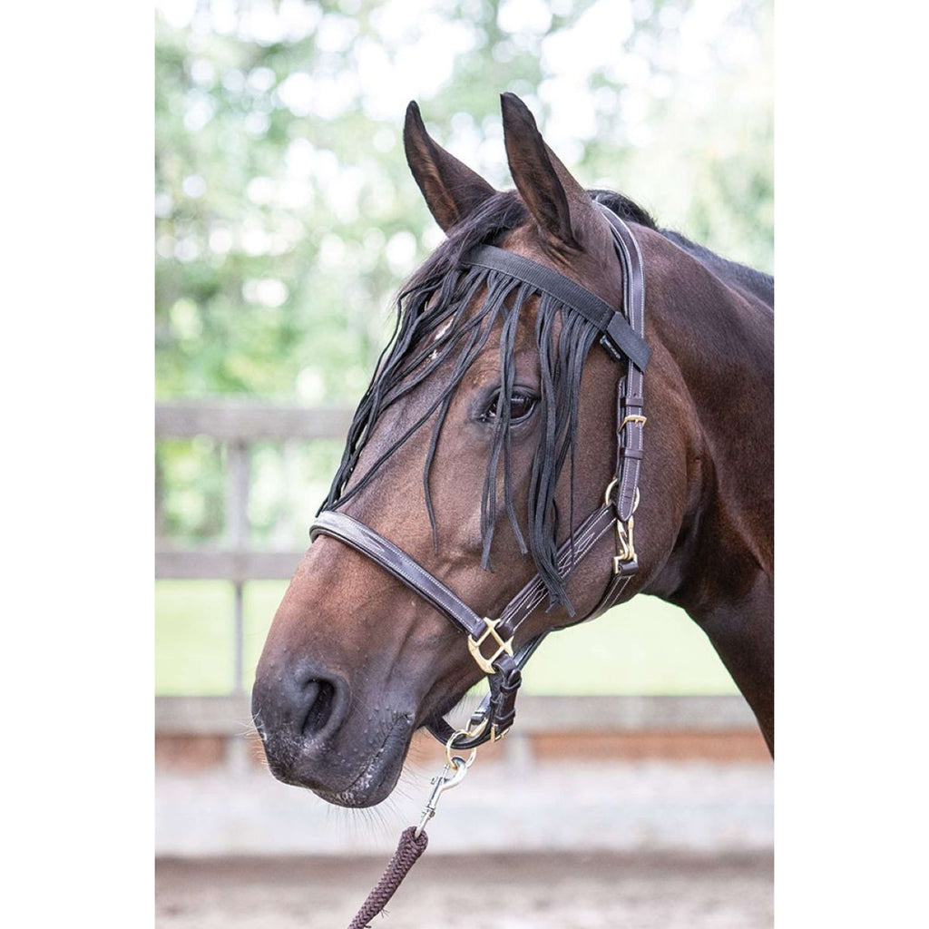 Harry's Horse Frontal Anti-Moscas Negro