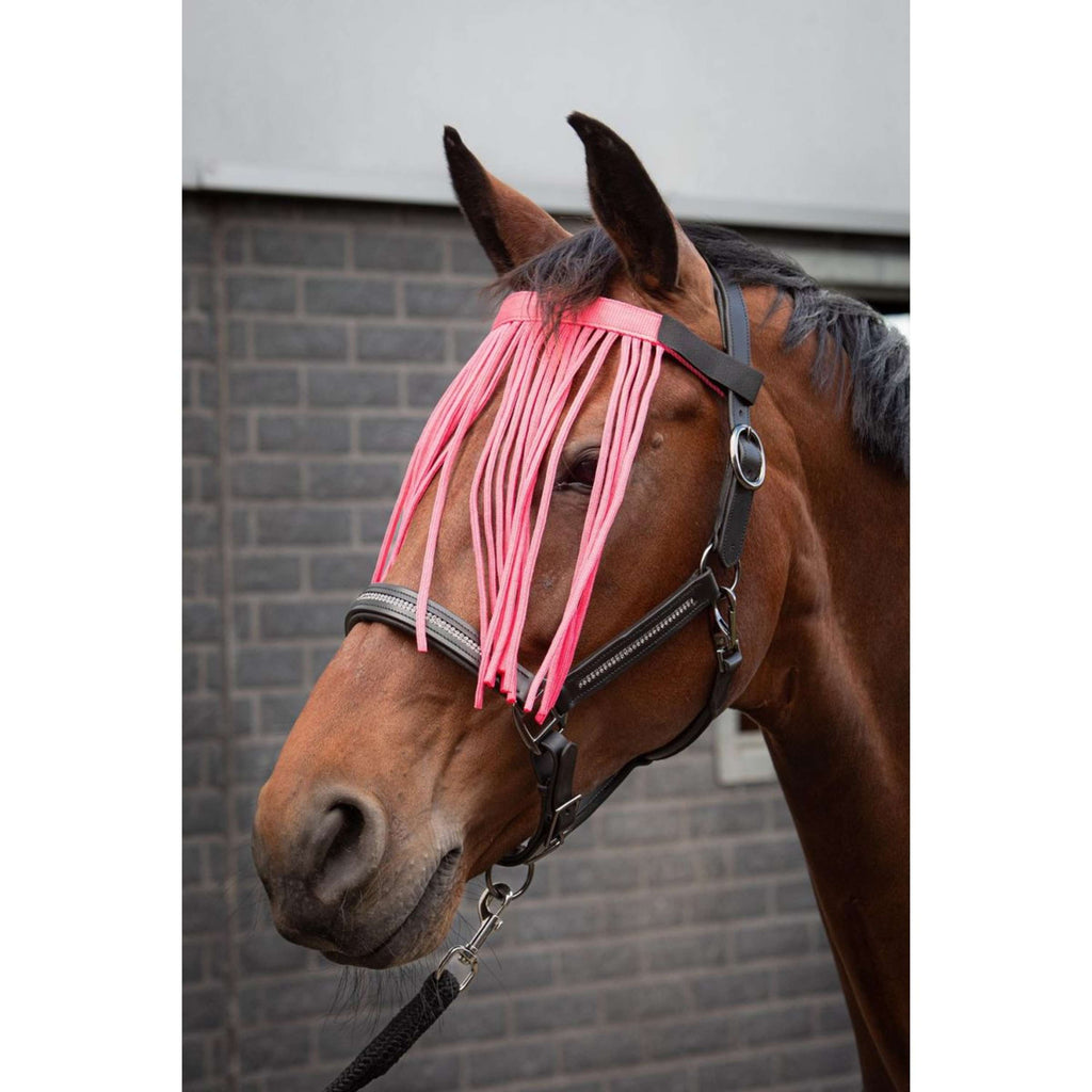 Harry's Horse Frontal Anti-Moscas Colour Rosa