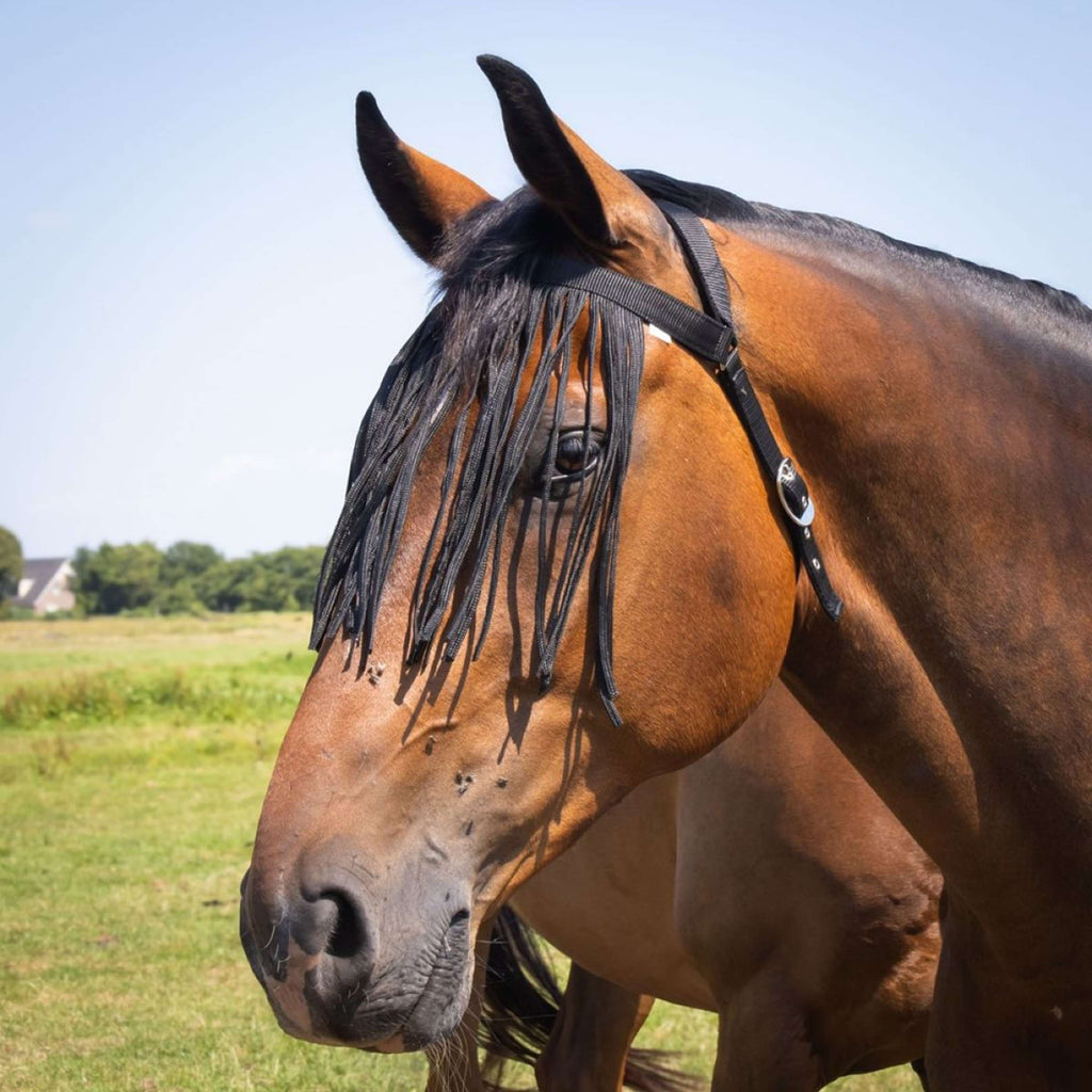 Harry's Horse Frontal Anti-Moscas Comfort+ Negro