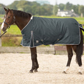 Harry's Horse Alfombra de Exterior Thor 300 Ebano
