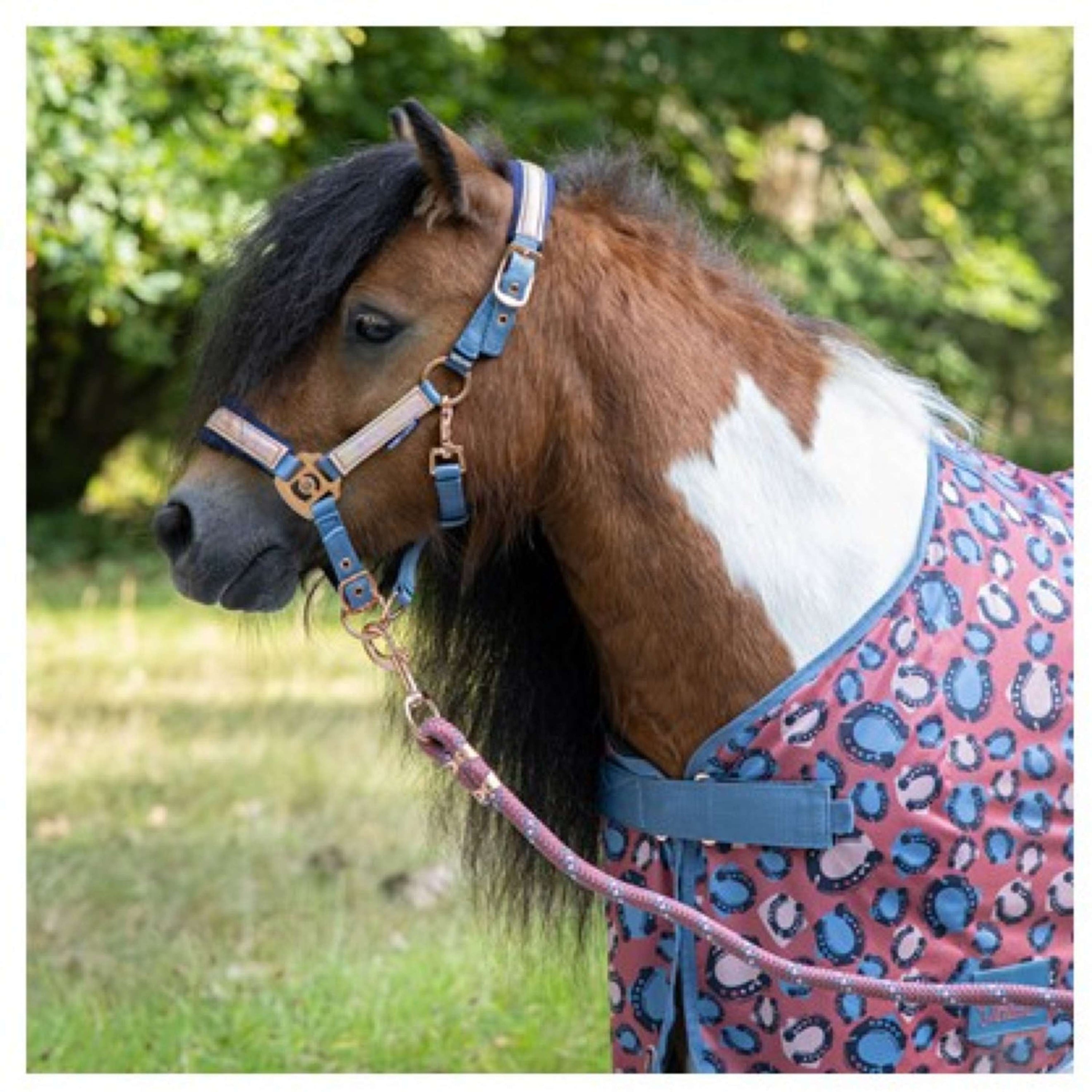 Harry's Horse Manta Antimoscas Diva Mauvewood Mesh-Pro Mauvewood Harry's Horse Manta Antimoscas Diva Mauvewood Mesh-Pro Mauvewood