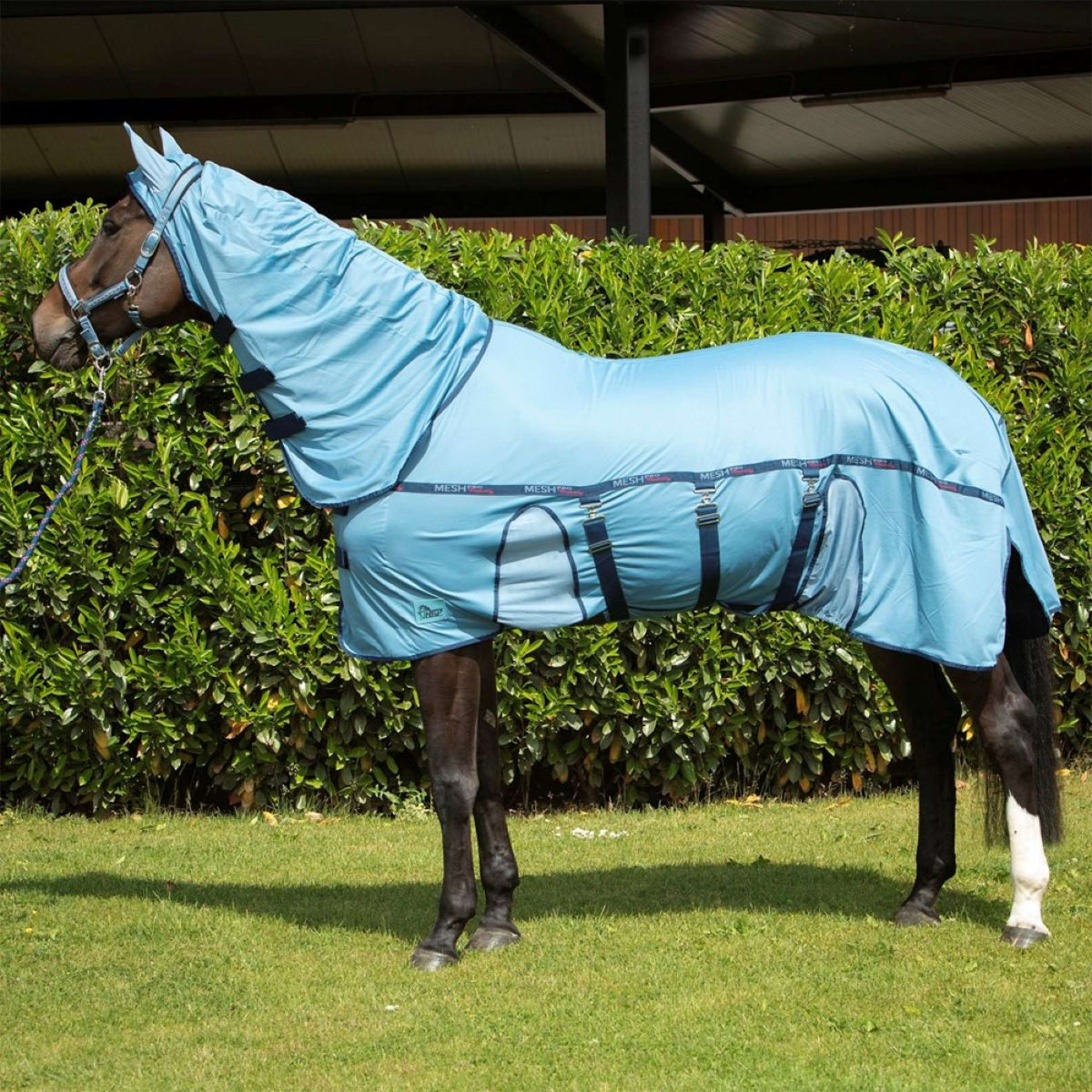 Harry's Horse Manta Antimoscas Mesh-Pro Belly Blue Heaven