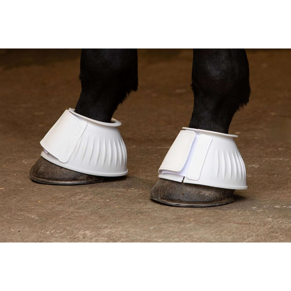 Harry's Horse Botas de Campana TPE Blanco