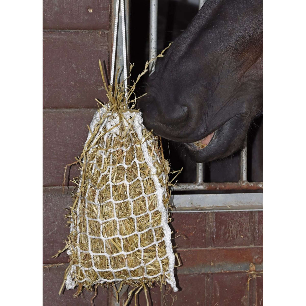 Harry's Horse Red de Heno Slow Feeder Mini Blanco