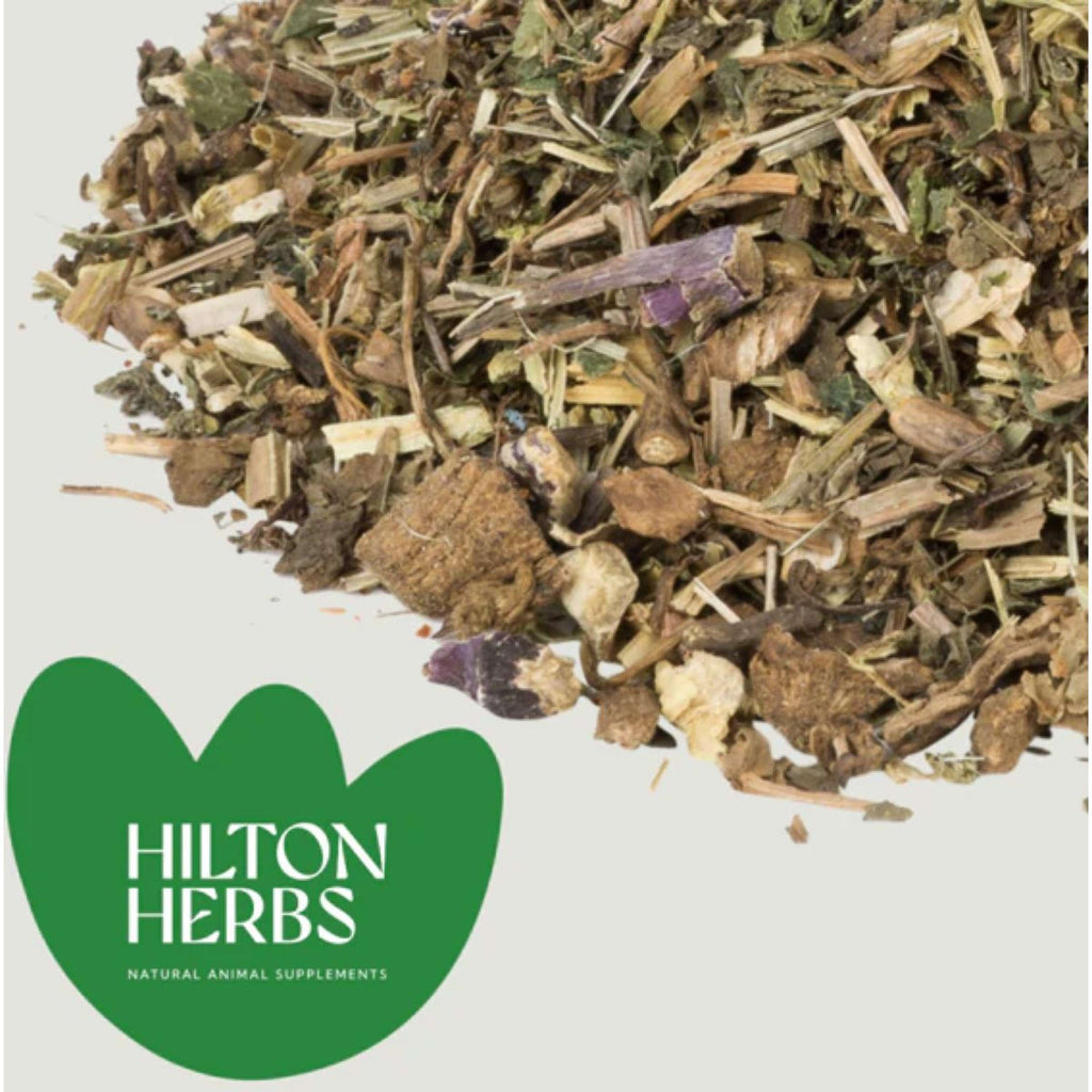 Hilton Herbs Equimmune