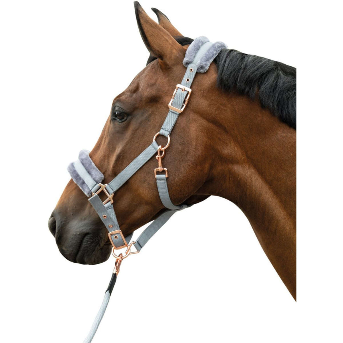 HKM Cabezada Rosegold Glamour Oro Rosa