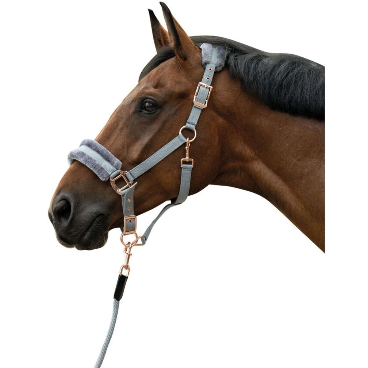 HKM Cabezada Rosegold Glamour Oro Rosa