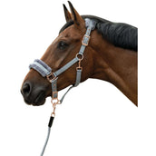 HKM Cabezada Rosegold Glamour Oro Rosa