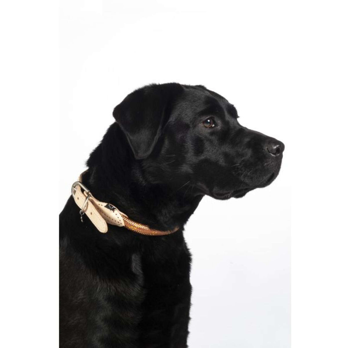 HKM Halsband Anam Cara Cuerda Cognac
