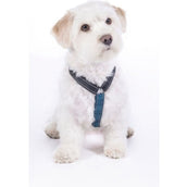 HKM Arnés para Perro Anam Cara Basic Nylon Azul Oscuro/Petrol