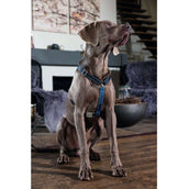 HKM Arnés para Perro Anam Cara Basic Nylon Azul Oscuro/Petrol
