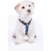 HKM Arnés para Perro Anam Cara Basic Nylon Azul Oscuro/Petrol