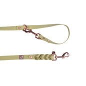 HKM Correa para Perro Amitye Pistachio