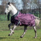 HKM Alfombra de Exterior Liberty 1200D 100g Vino rojo<>Gris