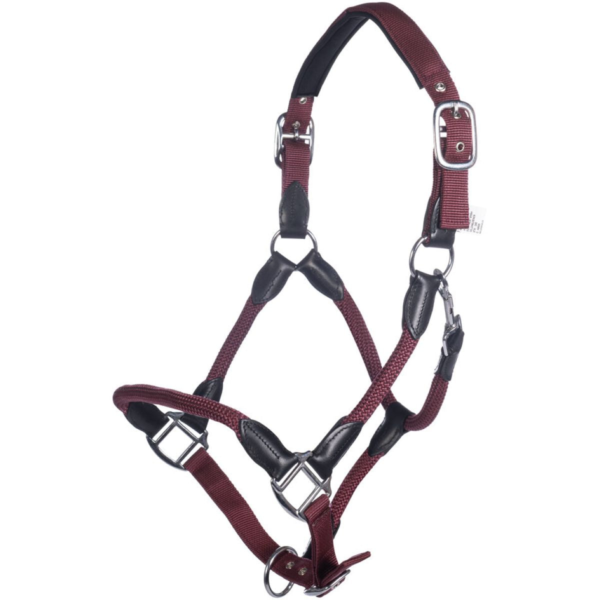 HKM Cabezada Carlotta Bordeaux