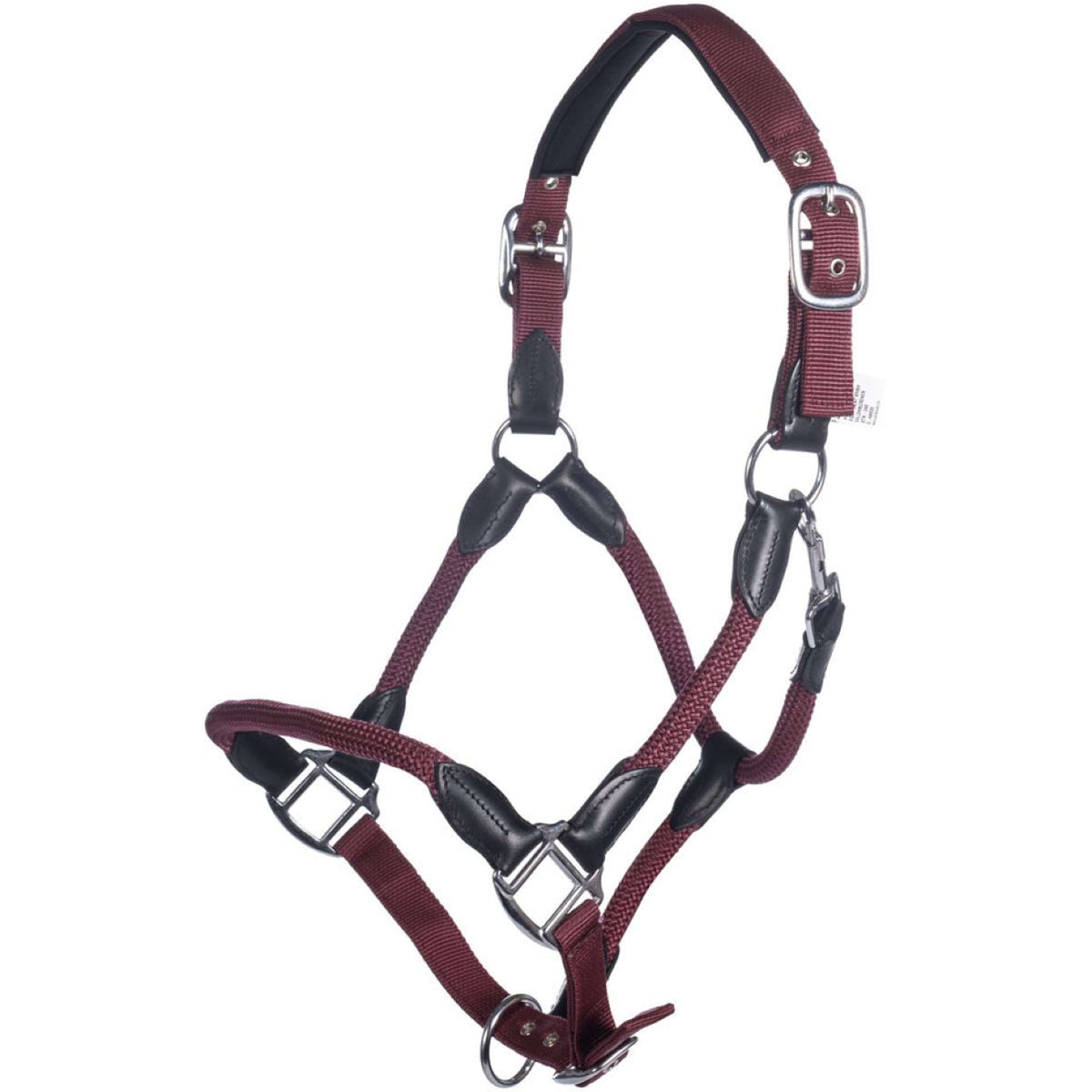 HKM Cabezada Carlotta Bordeaux