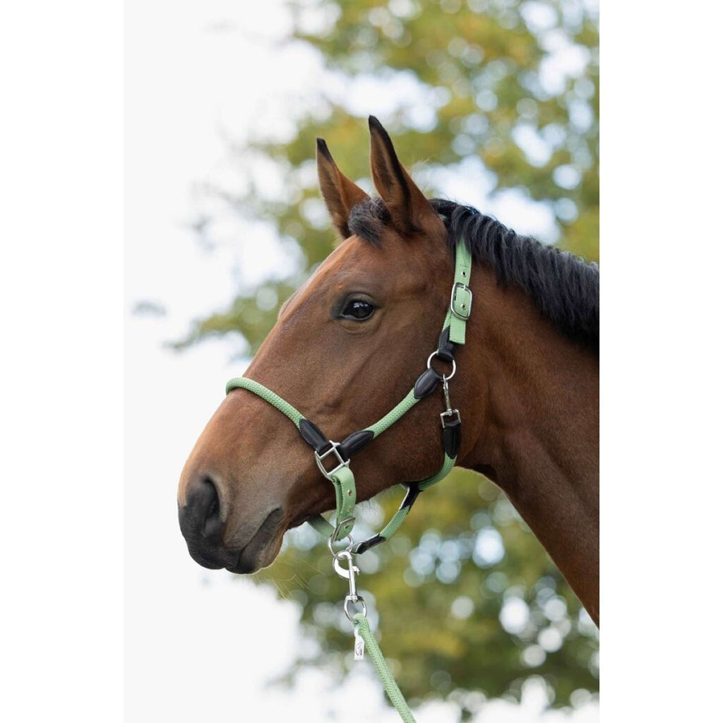 HKM Cabestro Carlotta Jade
