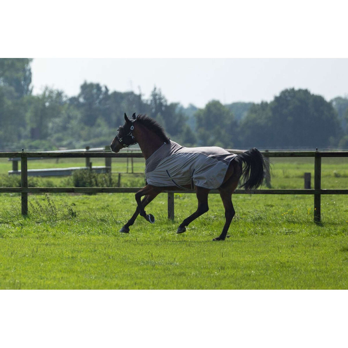 HKM Manta Antimoscas Comfort Fleece Gris<>Beige<>Azul