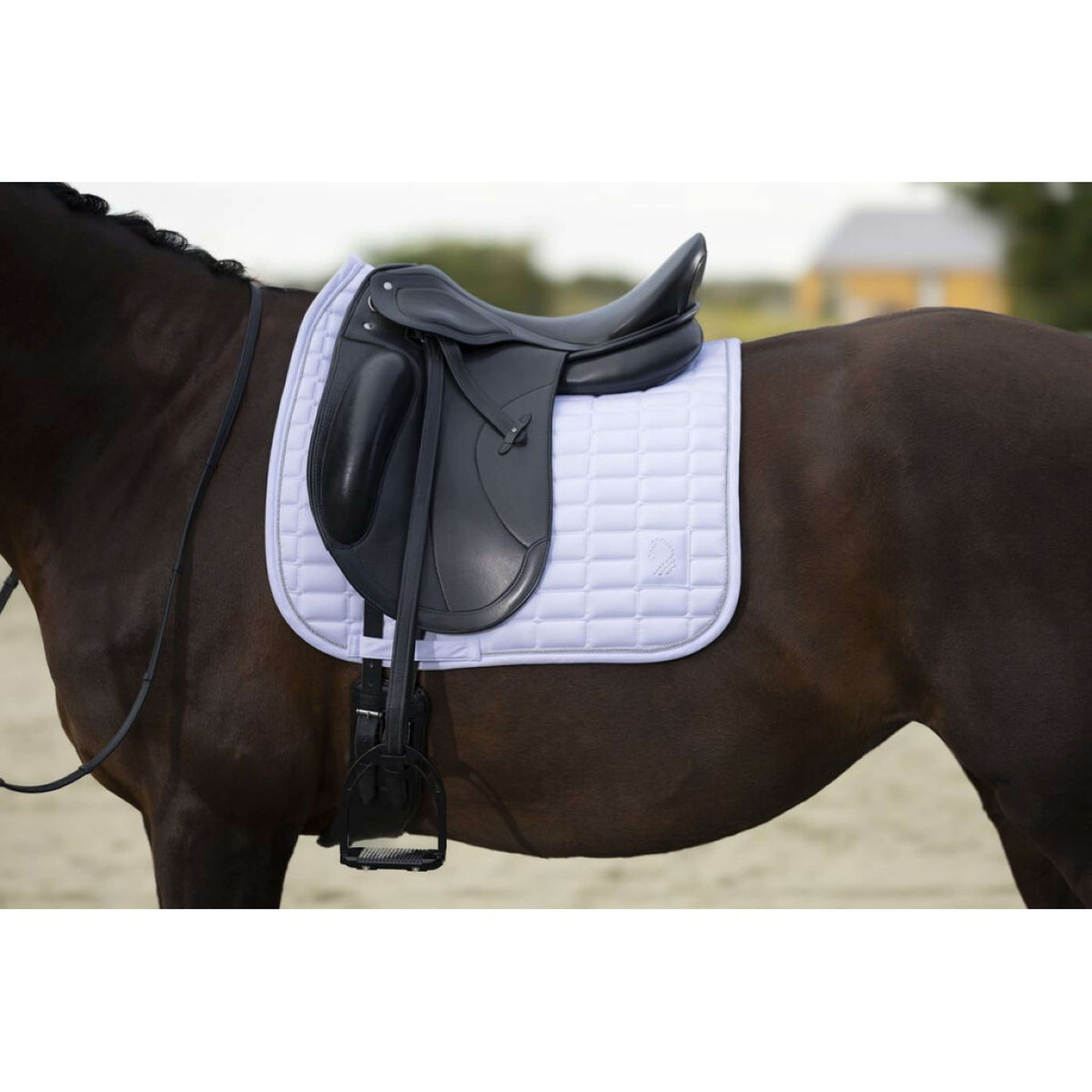 HKM Mantilla Amalfi Competition Doma Blanco
