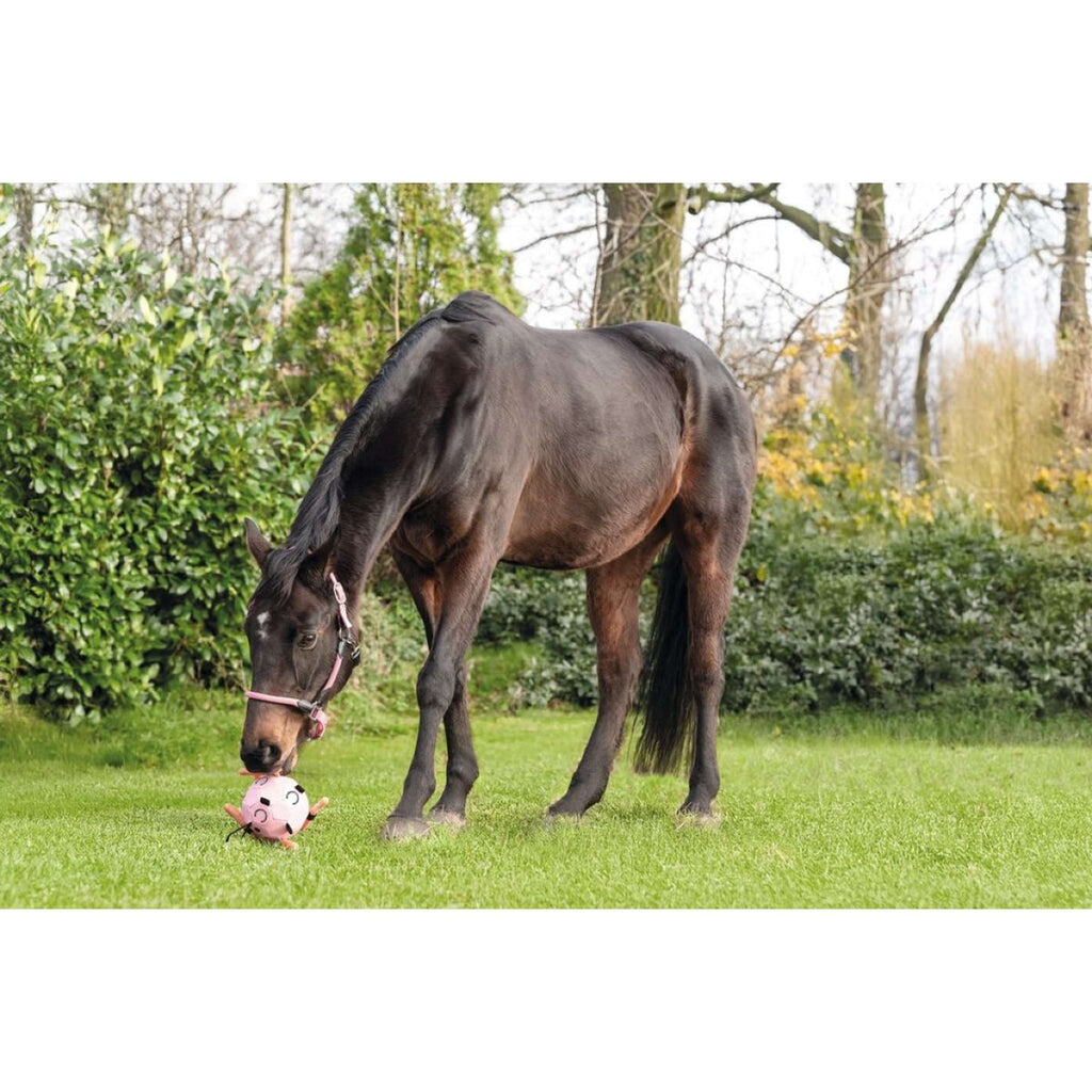 HKM Pelota Fun Rosa