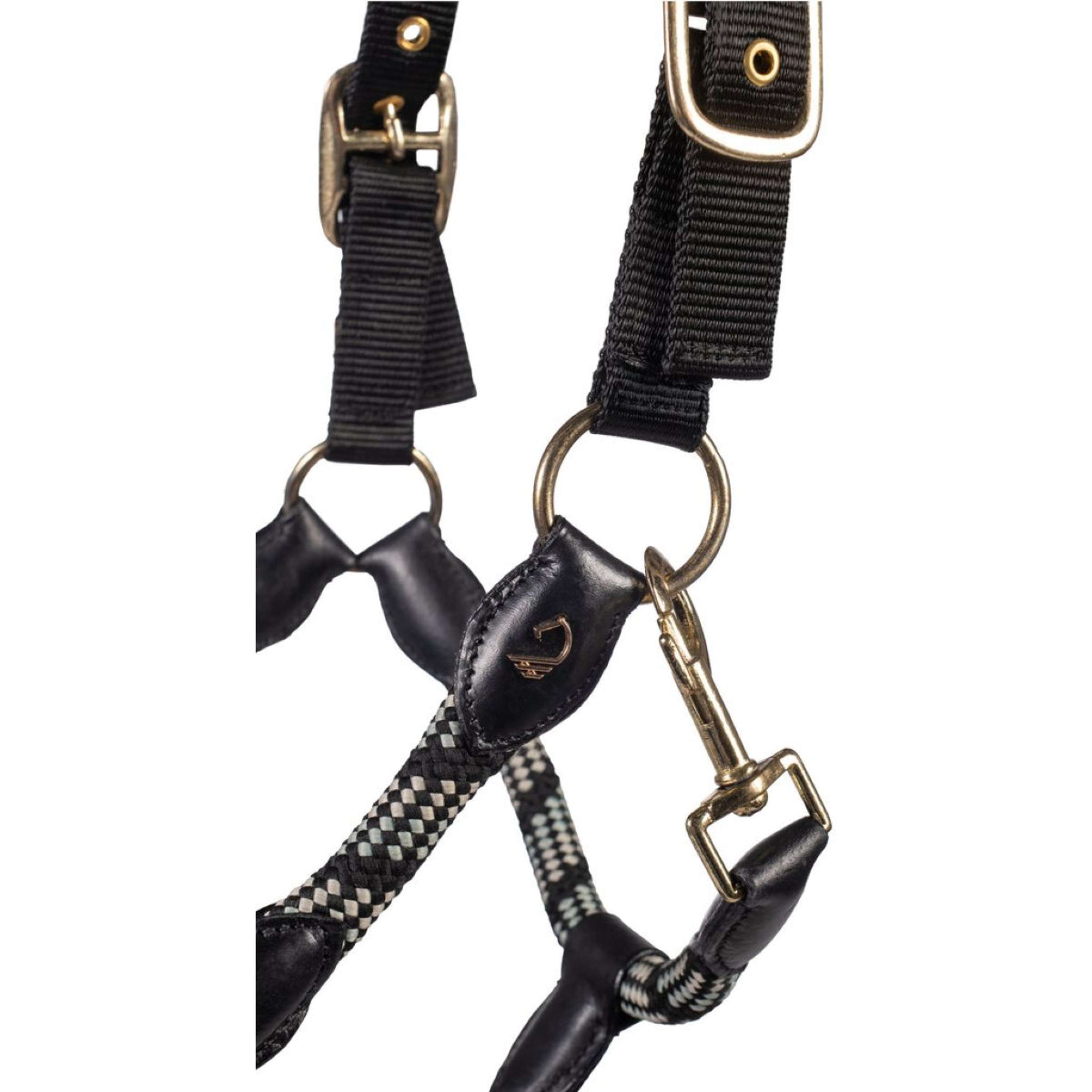 Lauria Garrelli Cabestro Limone Sportive Negro Lauria Garrelli Cabestro Limone Sportive Negro