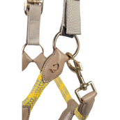 Lauria Garrelli Cabezada Limone Sportive Gris/Beige