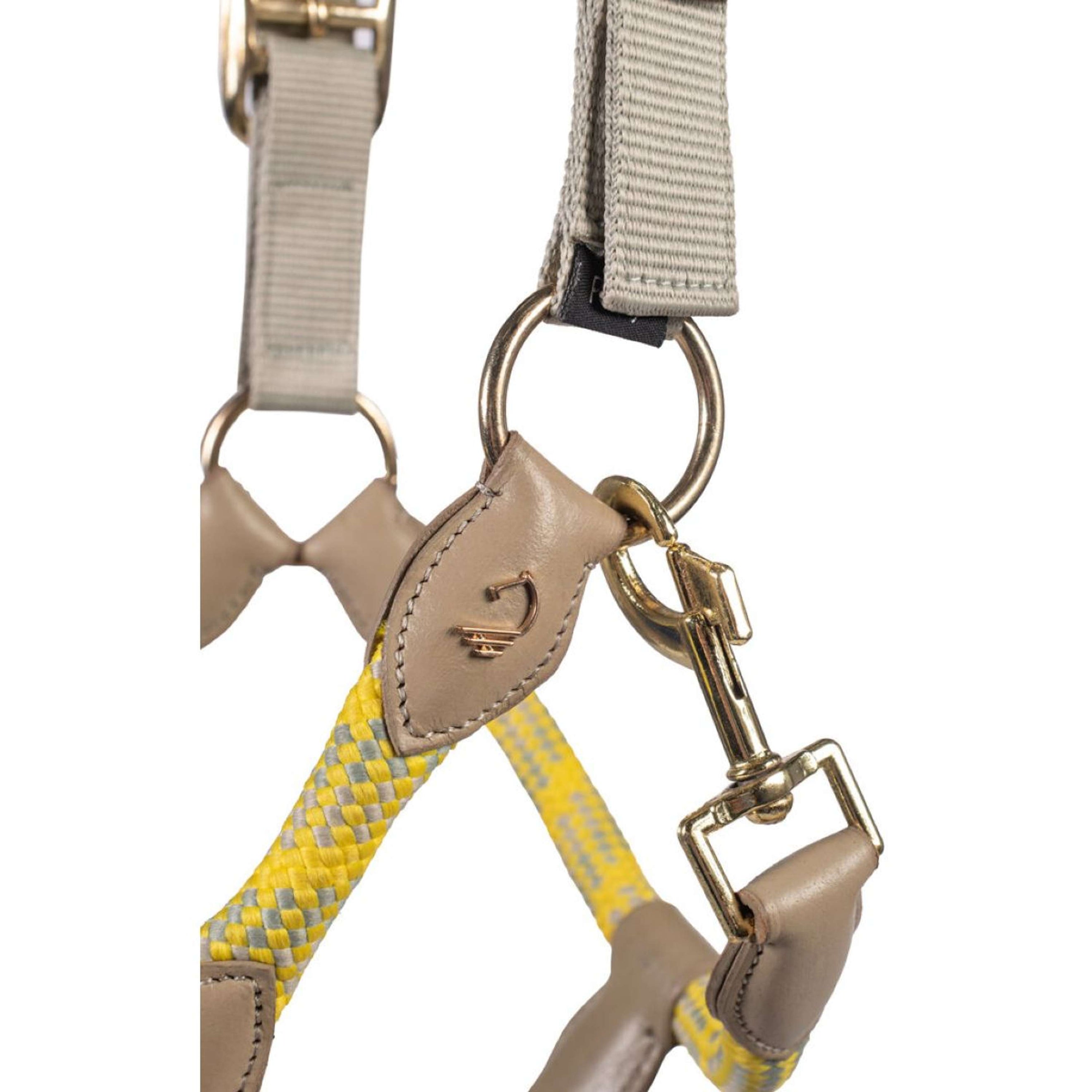 Lauria Garrelli Cabestro Limone Sportive Gris/Beige