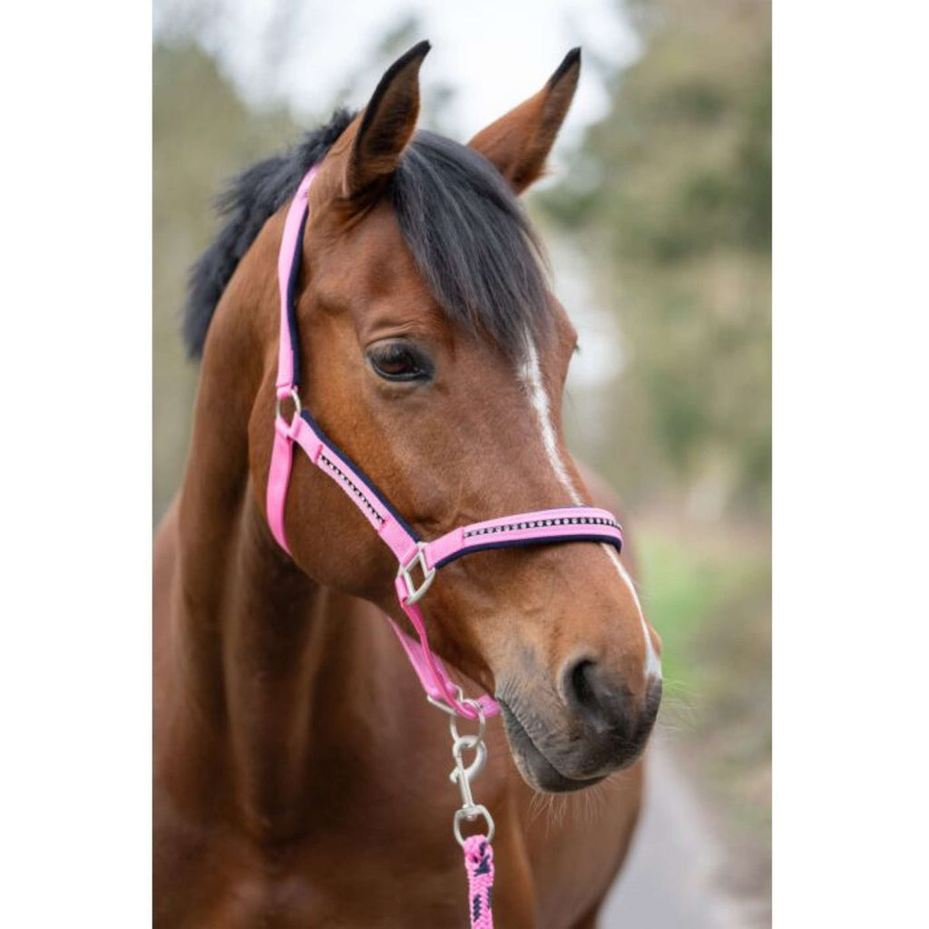 HKM Juego de Cabestro Crystal Forro Suave Rosa/Azul oscuro
