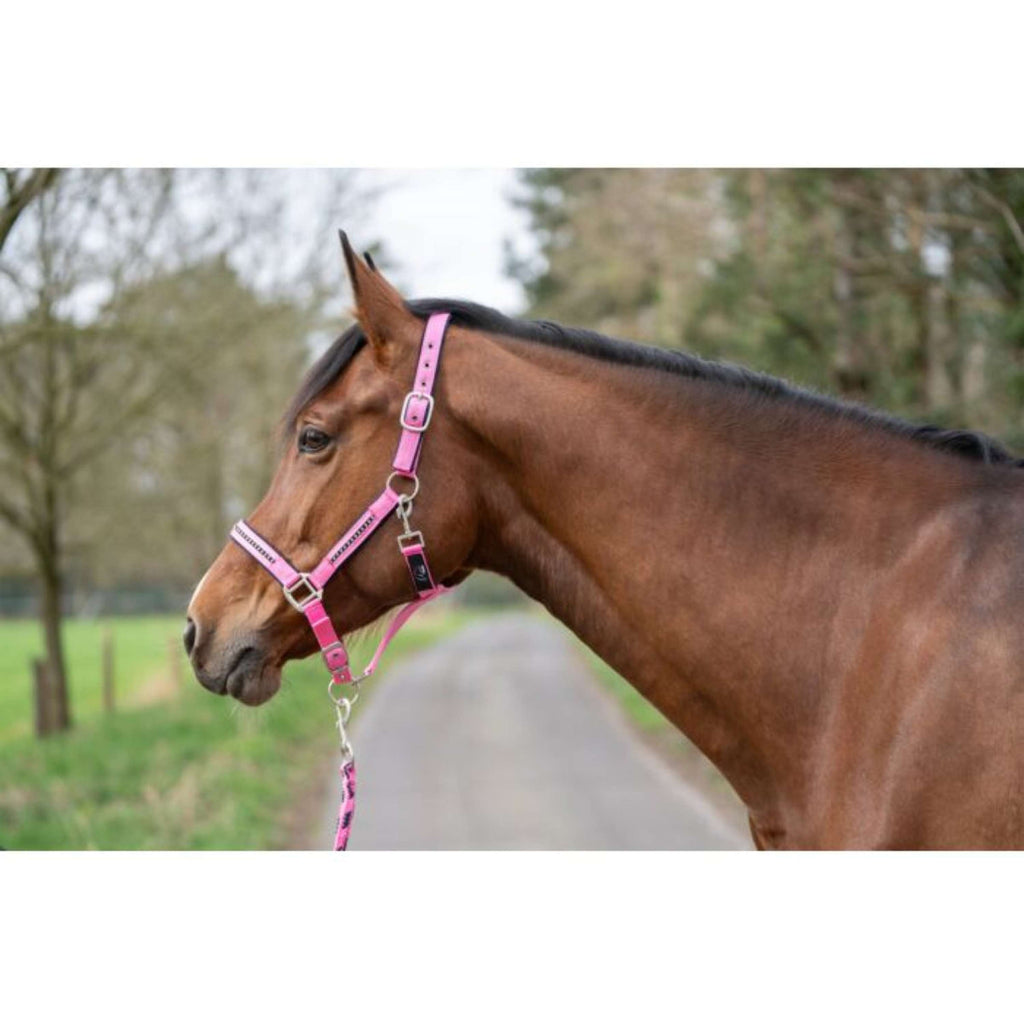 HKM Juego de Cabestro Crystal Forro Suave Rosa/Azul oscuro