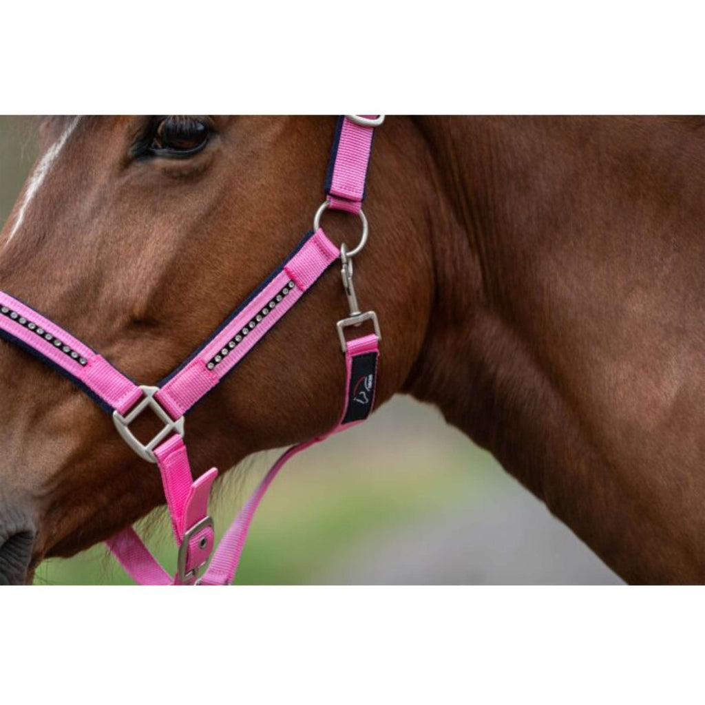 HKM Juego de Cabestro Crystal Forro Suave Rosa/Azul oscuro