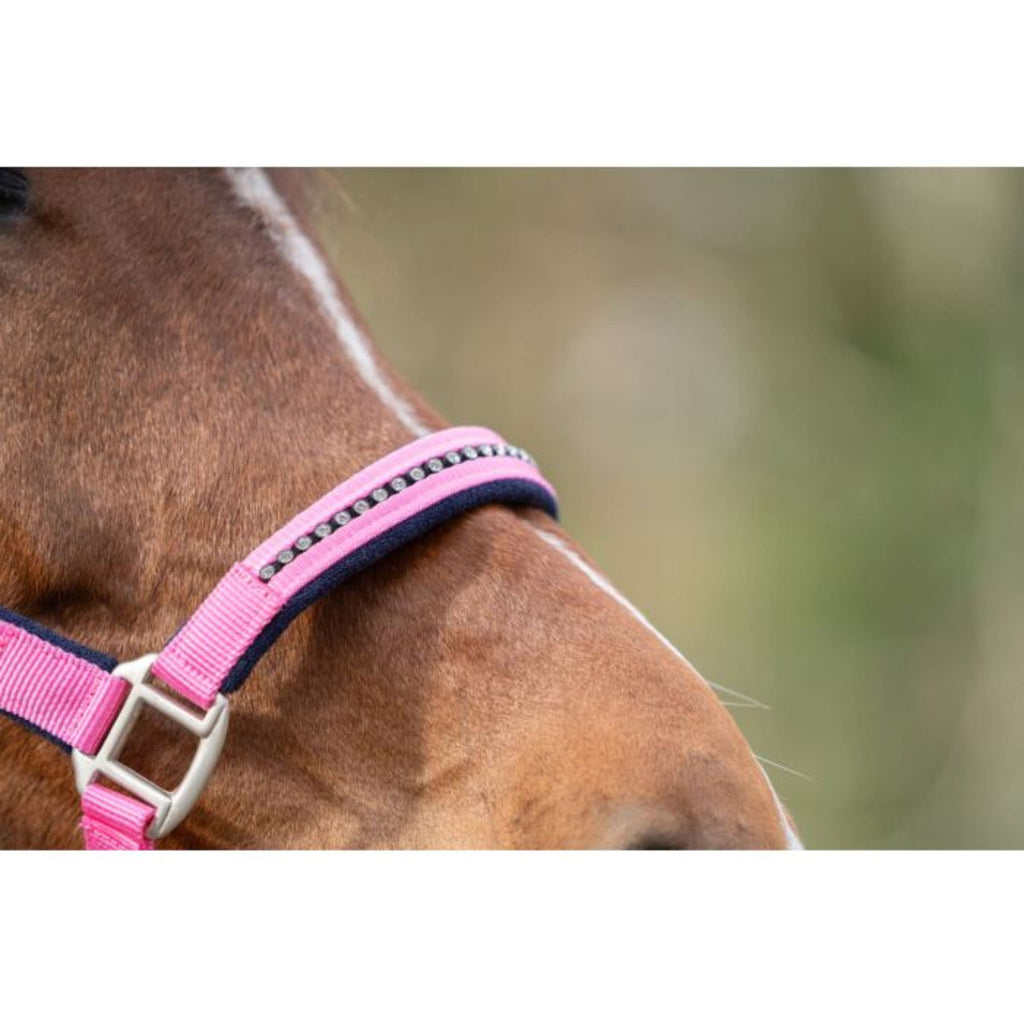 HKM Juego de Cabestro Crystal Forro Suave Rosa/Azul oscuro