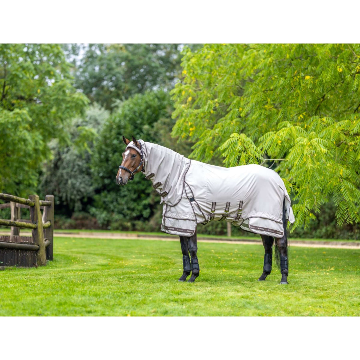 LeMieux Manta para Eczema Kudos Sweet Itch SS26 Piedra